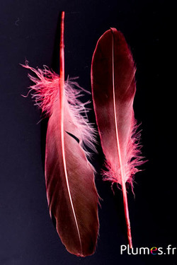 Canard - 18-20 cm, gauche et droite - rose ancien-noir